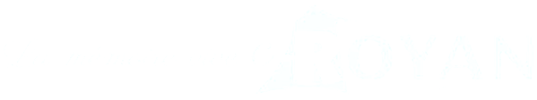 C-Royan : la mémoire vive encyclopédique