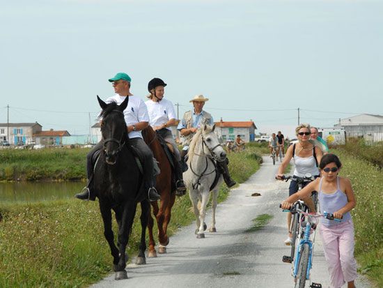 A cheval / Visuel : D.R.