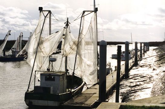 A quai de Michel Descamps / Visuel : D.R.