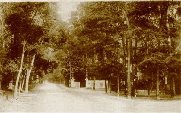 Avenue du parc 1940 / Visuel : D.R.