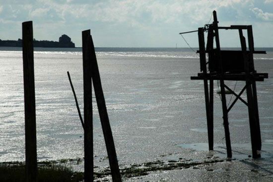 Carrelet - Talmont-sur-Gironde / Visuel : D.R.