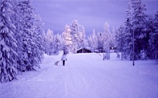 Chalet / Visuel : D.R.