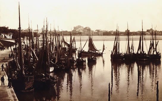 Chalutiers à voile du port de Royan en 1900. / Collection Jacques Daniel