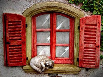 Chat à la fenêtre (2000) / Visuel : D.R.
