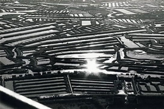 Claires dans l'île d'Oléron, 11 mais 1975 / Visuel : D.R.