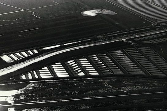 Claires de Marennes-Oléron, 26 octobre 1975 / Visuel : D.R.