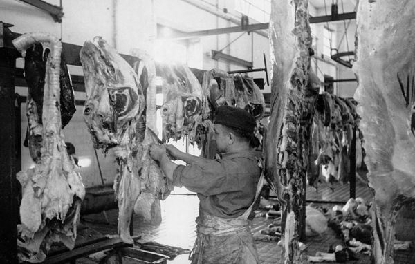 Comme à l'abattoir... / Coll. E. Renoux