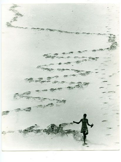 Descente de dune / Visuel : D.R.
