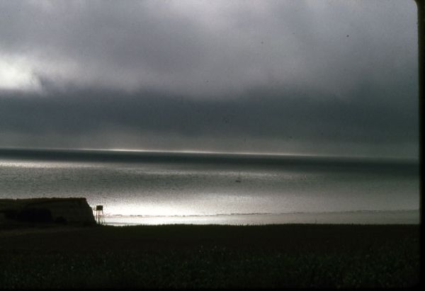estuaire2 m.guillard / Visuel : D.R.