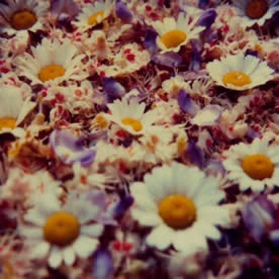FB33 / Visuel : D.R.