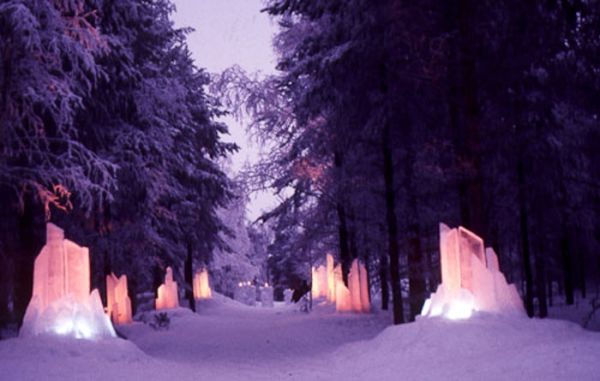 Foret illuminé / Visuel : D.R.