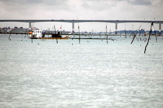 La marée est termninée / Visuel : D.R.