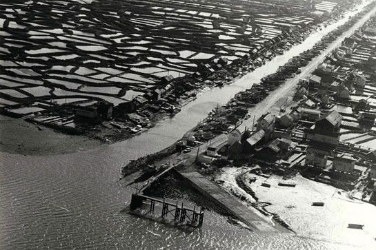 La Seudre à La Tremblade, 11 mai 1975 / Visuel : D.R.