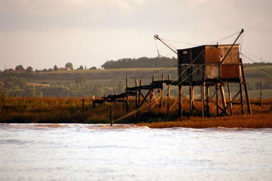 Pêche au maigre sur la Gironde / Visuel : D.R.