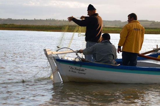 Pêche au maigre sur la Gironde / Visuel : D.R.