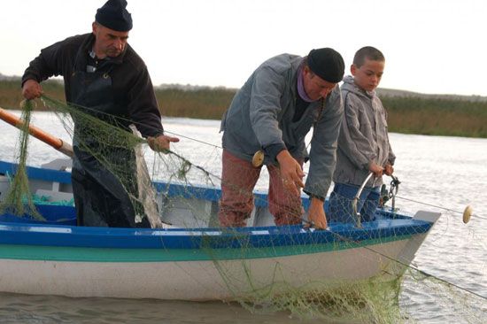 Pêche au maigre sur la Gironde / Visuel : D.R.