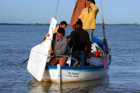 Pêche au maigre sur la Gironde / Visuel : D.R.