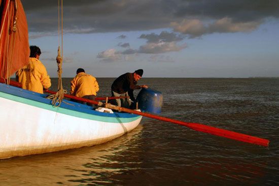 Pêche au maigre sur la Gironde / Visuel : D.R.