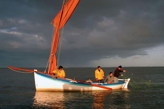 Pêche au maigre sur la Gironde / Visuel : D.R.