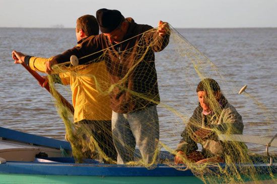 Pêche au maigre sur la Gironde / Visuel : D.R.