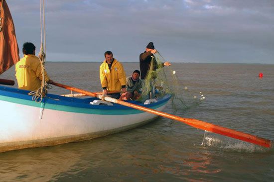 Pêche au maigre sur la Gironde / Visuel : D.R.