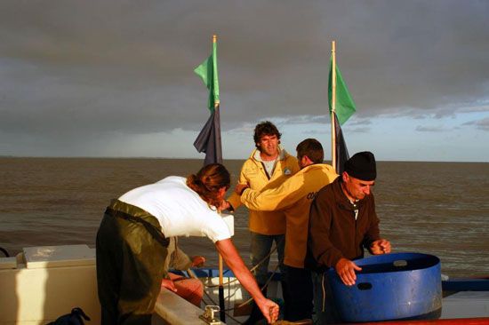 Pêche au maigre sur la Gironde / Visuel : D.R.