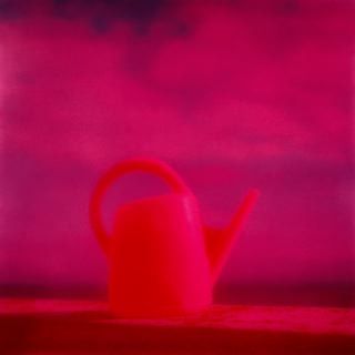 photographie de Jean-Frédéric Bourdier / Visuel : D.R.
