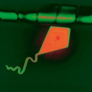 photographie de Jean-Frédéric Bourdier / Visuel : D.R.