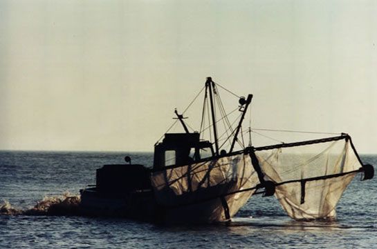 Piballou de Michel Descamps / Visuel : D.R.