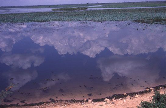Reflets à 20 km de Phnom Phen / Visuel : D.R.