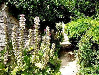 Ruelle de Talmont (2000) / Visuel : D.R.