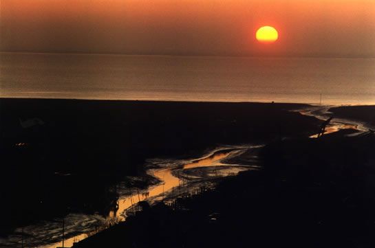 Soleil de Michel Descamps / Visuel : D.R.