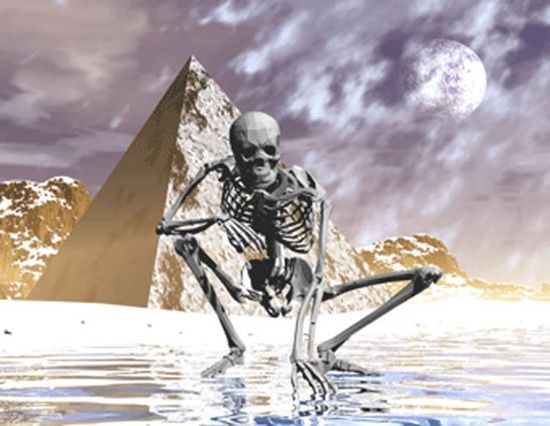 Squelette au claire de lune / Visuel : D.R.
