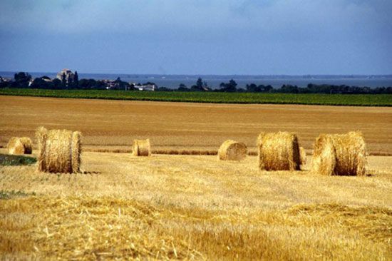 Talmont-sur-Gironde _ vue des terres / Visuel : D.R.