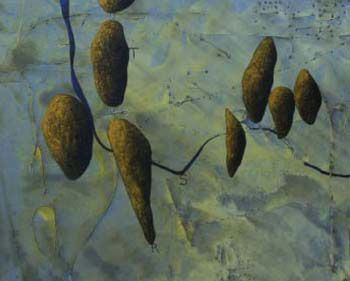 Texier Archipel sud / Visuel : D.R.