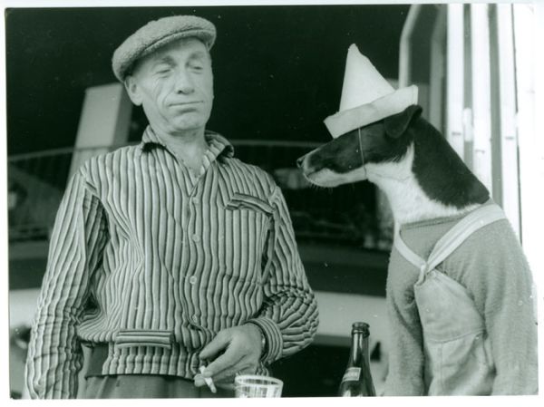 Une vie de chien! / Visuel : D.R.