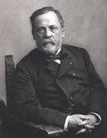 Pasteur louis