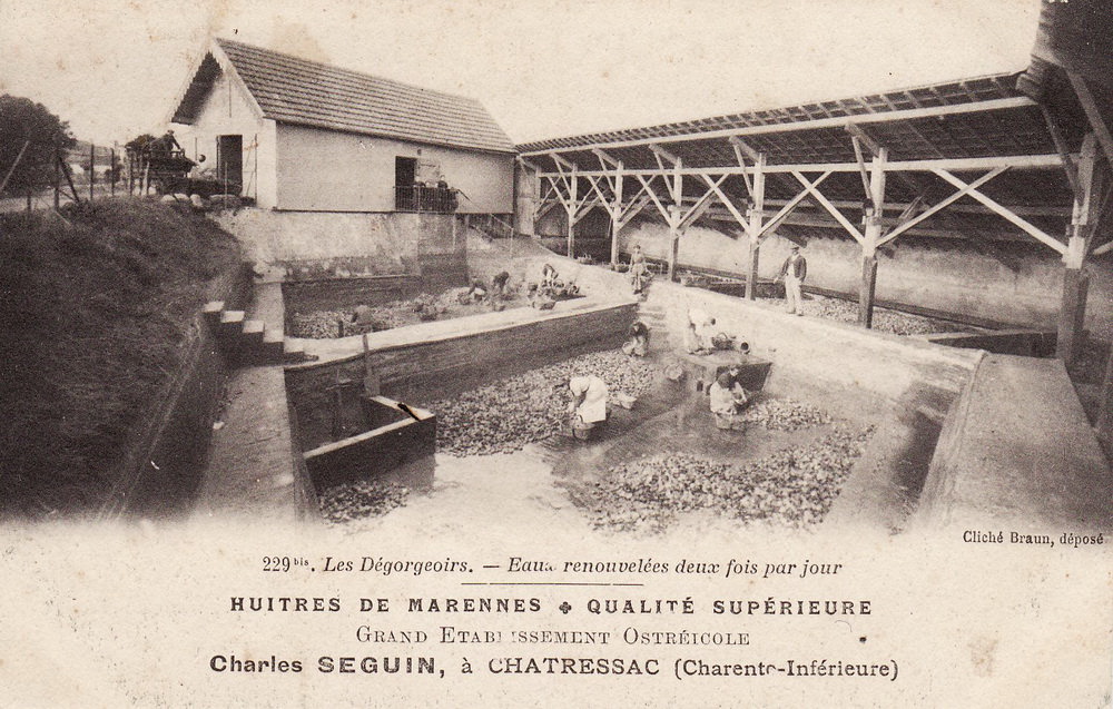 Visuel : D.R. Visuel : D.R.