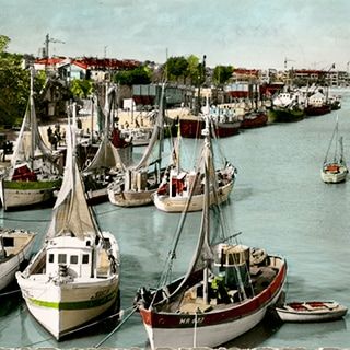 Visuel : D.R. Visuel : D.R.