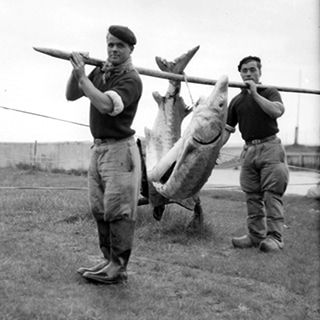 Visuel : D.R. Visuel : D.R.