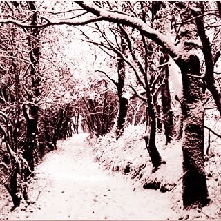 Visuel : D.R. Visuel : D.R.