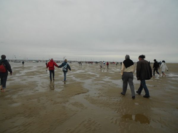 C'est l'heure de réembarquer. En avant pour la trempette en attendant le zodiac. / Cl. mabr