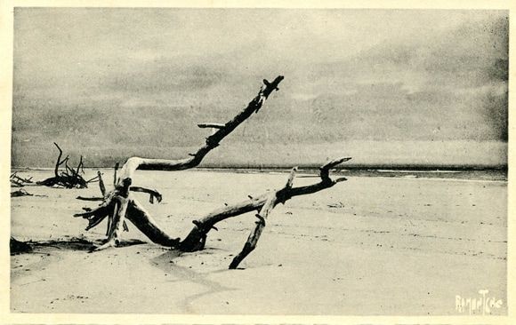 Visuel : D.R. Visuel : D.R.