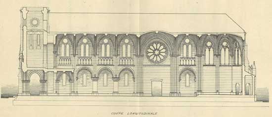 Coupe longitudinale / coll. F. Chassebœuf