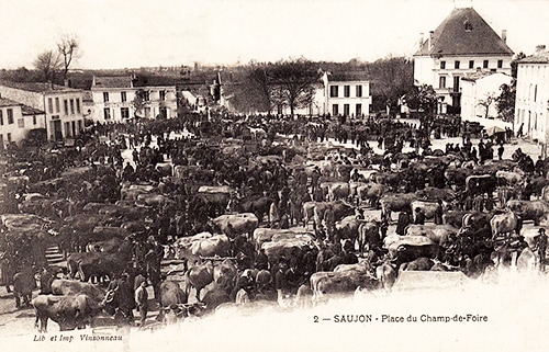 Visuel : D.R. Visuel : D.R.