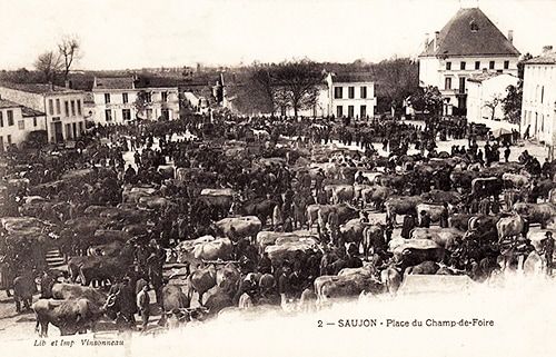 Visuel : D.R. Visuel : D.R.