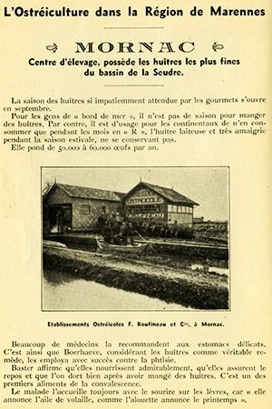 Visuel : D.R. Visuel : D.R.