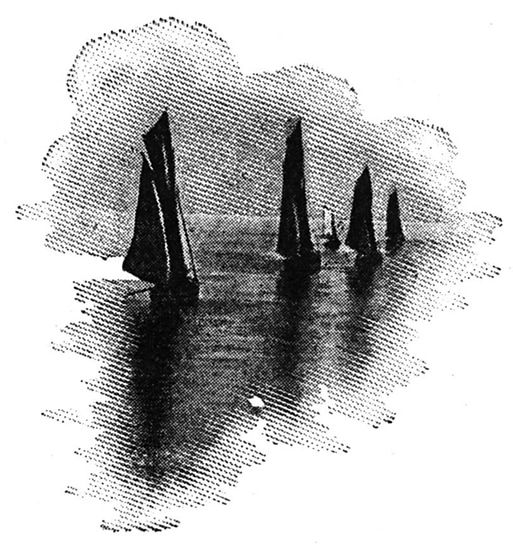 Illustration arbre / Visuel : D.R.