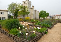 Visuel : D.R. Visuel : D.R.