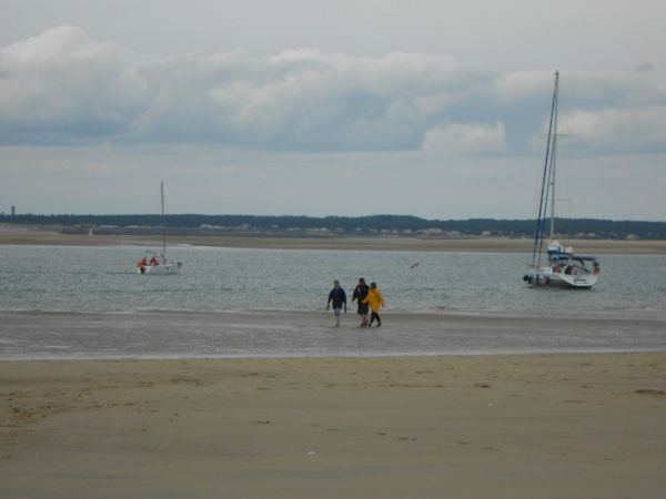 L'île nouvelle de Cordouan. / Cl. mabr